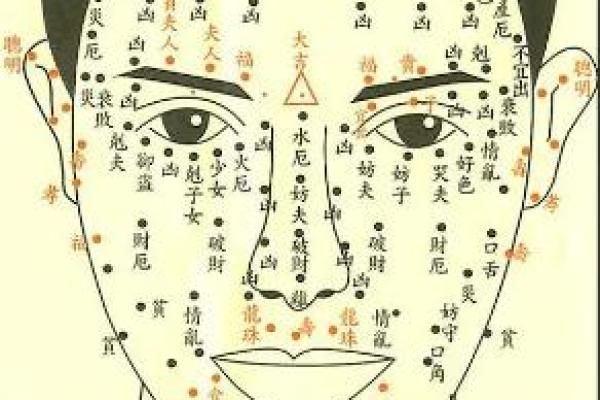 人体痣相分析：你的痣暗示着什么样的人生轨迹