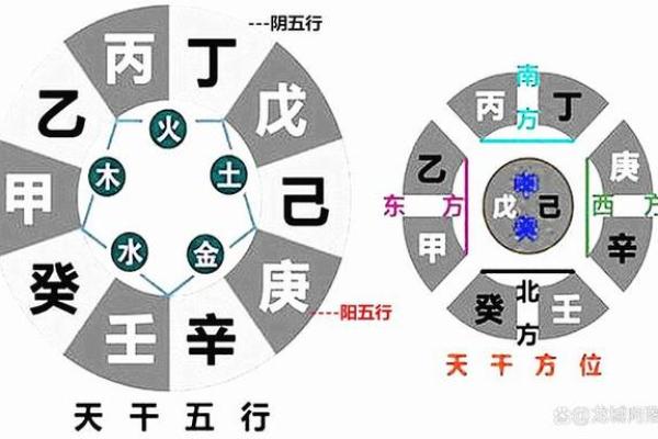 水在天干的作用：五行循环中的调和与平衡