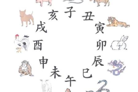 探索天干地支在中国文化中的深远影响