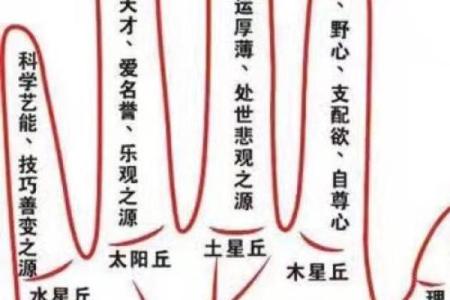 左手断掌的秘密：手相学中的特殊象征