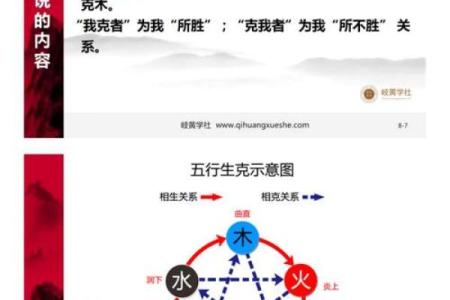 兔的五行属性是什么解析