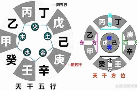 水在天干的作用：五行循环中的调和与平衡