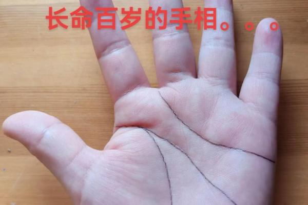 探索女人手相中的生命线：命运的隐秘密码