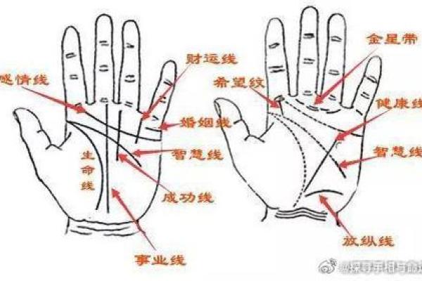 手掌健康密码：医学手相揭示你的身体状况