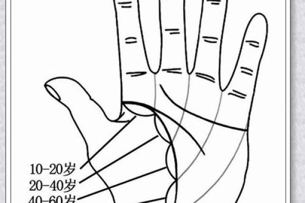 手掌健康密码：医学手相揭示你的身体状况