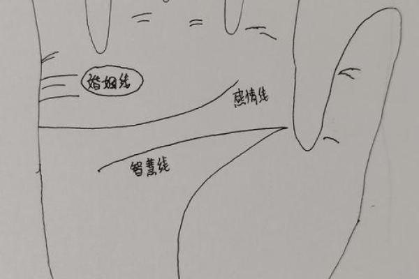解读手相中的子嗣线，预测你的家庭未来