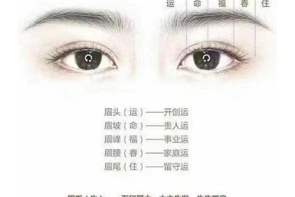 眉毛短的面相解析与运势影响