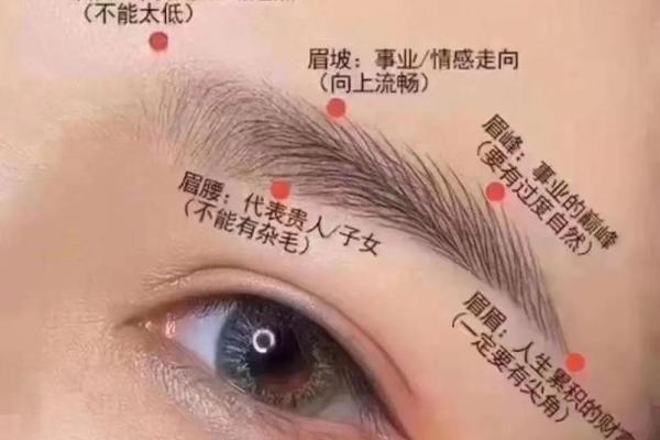眉毛短的面相解析与运势影响