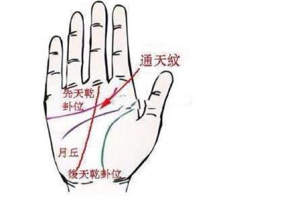 手相中的鱼坎纹解析及其深层含义