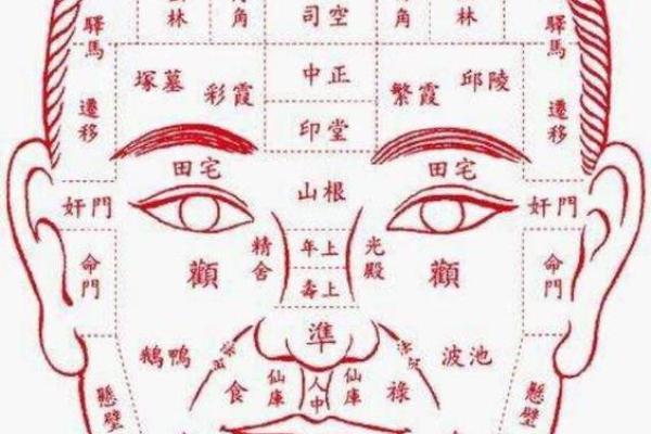 鼻梁高面相如何影响个人运势和社交