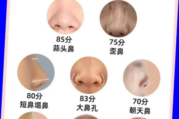 解密女性鼻子形态与人生运势的关联