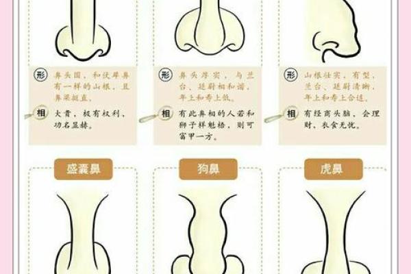 解密女性鼻子形态与人生运势的关联