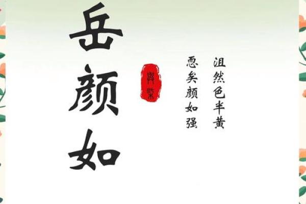 琬字五行属什么及其寓意解析