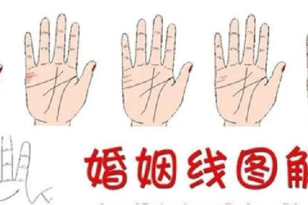 手相中的婚姻线揭示你爱情的命运