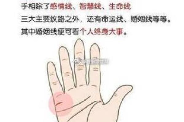 手相中的婚姻线揭示你爱情的命运