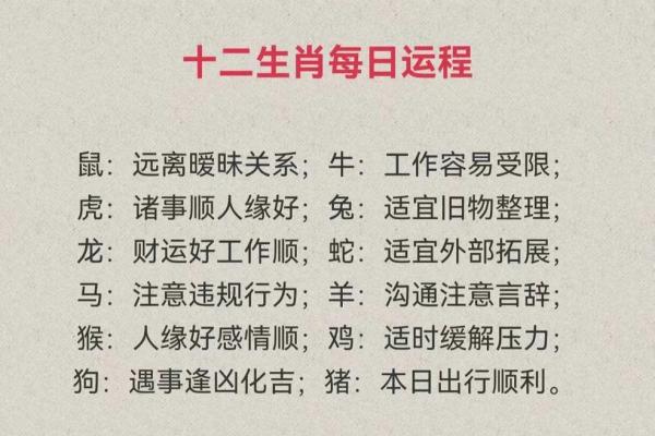 每日生肖运势详解，洞察生活中的运程变化
