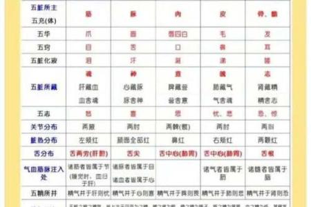 屿五行属性分析：探讨屿字的五行归属及其含义