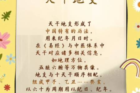 探索天干背后的智慧，准确解读个人命运