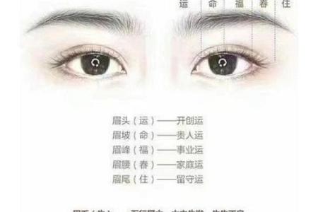 眉毛短的面相解析与运势影响