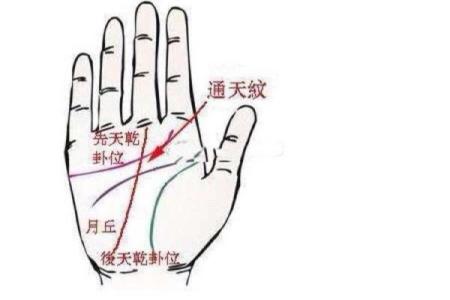 手相中的鱼坎纹解析及其深层含义