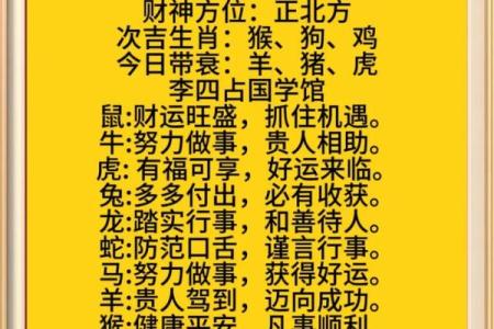 每日生肖运势详解，洞察生活中的运程变化