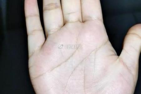 手相算命免费指南：揭开你命运的神秘面纱