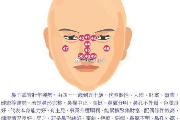 面相学中的鼻子特征：影响人生的关键部位