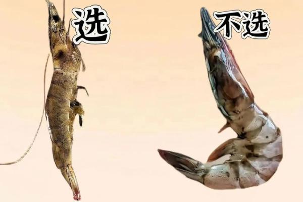海鲜公司起名指南：打造独特品牌的创意之选