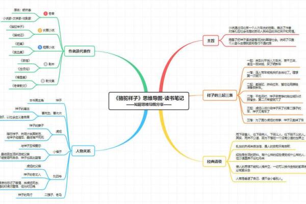 出生的命运特点：是什么决定了他们的未来走向