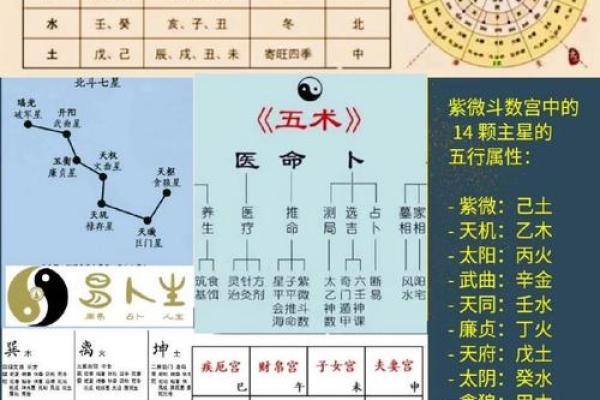 探索王凯命理的深层次含义与命运走向