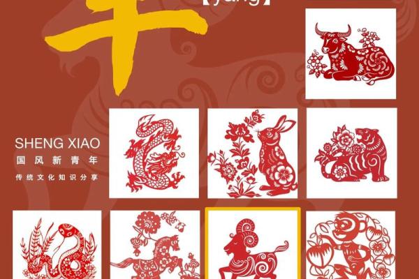 正月出生的人属什么生肖特点解析