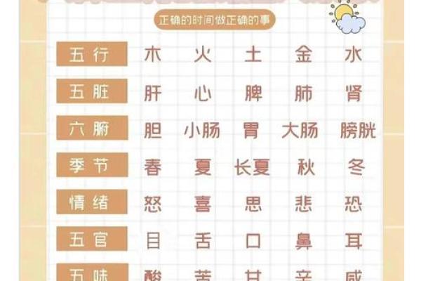 五行与生肖的神秘关系解析