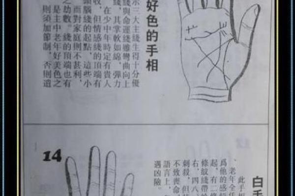 手相学揭秘：如何通过手纹预测未来