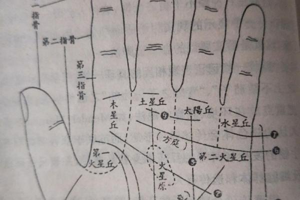 手相学揭秘：如何通过手纹预测未来