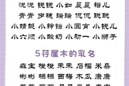 适合出生鸡宝宝的名字推荐