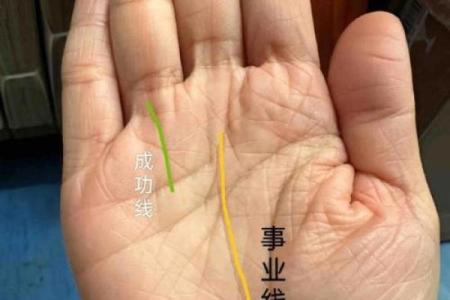 解读手相中的事业运，助你职场腾飞