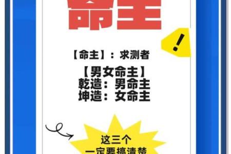 揭秘清秀命：命理中的优雅与温和