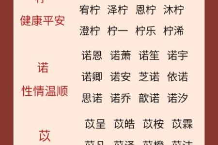 国学起名公司带你走进名字背后的文化与哲理
