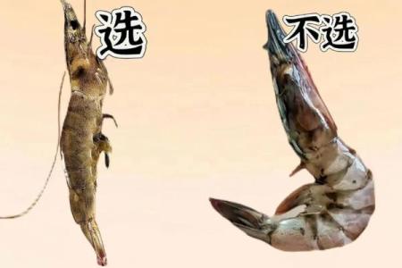 海鲜公司起名指南：打造独特品牌的创意之选