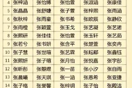 张姓男宝宝起名：如何挑选一个寓意深远的名字