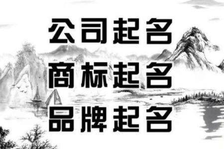 为企业量身定制个性化名字——公司在线起名网全程服务