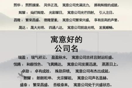 如何为公司起个有影响力的四字名字