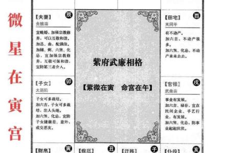 紫微命盘排盘揭秘：如何解读命运的星象密码