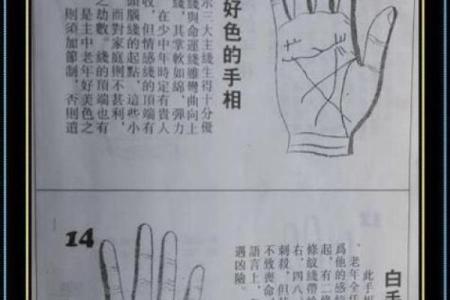 手相学揭秘：如何通过手纹预测未来
