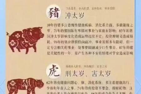 生肖相破的概念与应对策略
