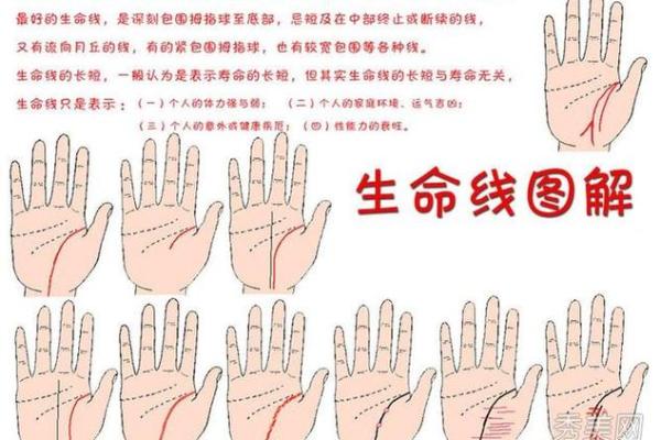 指缝宽手相解析：揭示个性与命运的奥秘