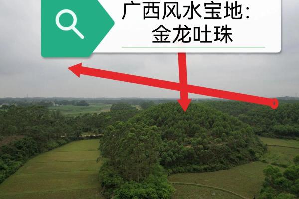 探索逆水风水的危害及改善技巧