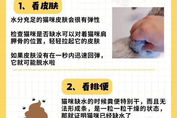 如何判断自己是否命缺水
