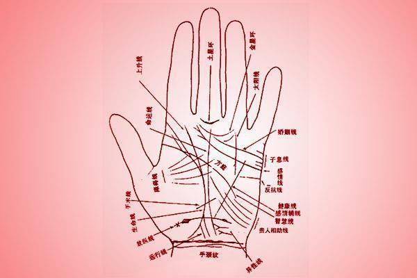 手相入门指南：掌握你的命运密码