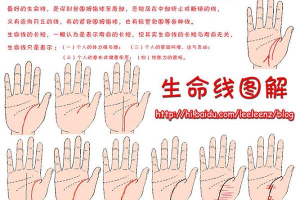 手相入门指南：掌握你的命运密码